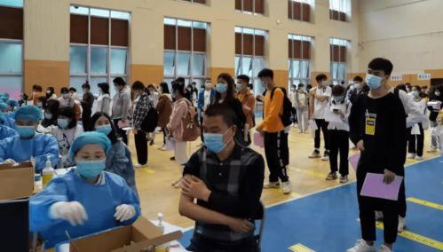 脑科医生爆料视频最新消息,最新爆料视频揭示惊人医学真相